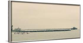 Surfers In Front Of Pier In Newport Beach-Lindsay Daniels-Framed Photographic Print