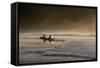 Surfers Make their Way to the Ocean Camburi Beach at Sunrise-Alex Saberi-Framed Stretched Canvas