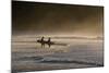 Surfers Make their Way to the Ocean Camburi Beach at Sunrise-Alex Saberi-Mounted Photographic Print