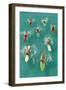 Surfers Paddling on Multi-Colored Boards, from Above-null-Framed Art Print