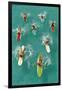 Surfers Paddling on Multi-Colored Boards, from Above-null-Framed Art Print