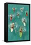 Surfers Paddling on Multi-Colored Boards, from Above-null-Framed Stretched Canvas