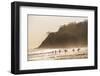 Surfers surfing on a beach at sunset, Nosara, Guanacaste Province, Pacific Coast, Costa Rica-Matthew Williams-Ellis-Framed Photographic Print