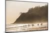 Surfers surfing on a beach at sunset, Nosara, Guanacaste Province, Pacific Coast, Costa Rica-Matthew Williams-Ellis-Mounted Photographic Print