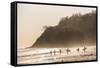 Surfers surfing on a beach at sunset, Nosara, Guanacaste Province, Pacific Coast, Costa Rica-Matthew Williams-Ellis-Framed Stretched Canvas