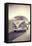 Surfers Vintage VW Bus-Edward M. Fielding-Framed Stretched Canvas