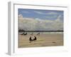 Surfers with Boards on Perranporth Beach, Cornwall, England-Simon Montgomery-Framed Photographic Print