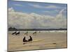 Surfers with Boards on Perranporth Beach, Cornwall, England-Simon Montgomery-Mounted Photographic Print