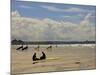 Surfers with Boards on Perranporth Beach, Cornwall, England-Simon Montgomery-Mounted Photographic Print