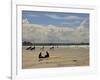 Surfers with Boards on Perranporth Beach, Cornwall, England-Simon Montgomery-Framed Photographic Print