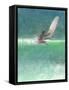 Surfing 1, Sri Lanka, 2015-Lincoln Seligman-Framed Stretched Canvas