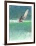 Surfing 1, Sri Lanka, 2015-Lincoln Seligman-Framed Giclee Print