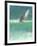 Surfing 1, Sri Lanka, 2015-Lincoln Seligman-Framed Giclee Print