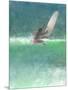 Surfing 1, Sri Lanka, 2015-Lincoln Seligman-Mounted Premium Giclee Print