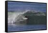 Surfing I-Lee Peterson-Framed Stretched Canvas