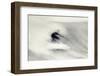 Surfing Impressions-null-Framed Photographic Print