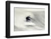 Surfing Impressions-null-Framed Photographic Print