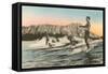 Surfing in Hawaii by Diamond Head-null-Framed Stretched Canvas