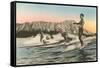 Surfing in Hawaii by Diamond Head-null-Framed Stretched Canvas