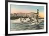 Surfing in Hawaii by Diamond Head-null-Framed Premium Giclee Print