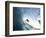 Surfing in the Tube-Sean Davey-Framed Photographic Print