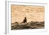 Surfing in Turtle Bay, North Shore, Oahu, Hawaii-Michael DeFreitas-Framed Photographic Print