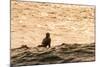 Surfing in Turtle Bay, North Shore, Oahu, Hawaii-Michael DeFreitas-Mounted Photographic Print