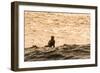 Surfing in Turtle Bay, North Shore, Oahu, Hawaii-Michael DeFreitas-Framed Photographic Print