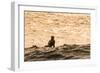 Surfing in Turtle Bay, North Shore, Oahu, Hawaii-Michael DeFreitas-Framed Photographic Print