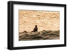 Surfing in Turtle Bay, North Shore, Oahu, Hawaii-Michael DeFreitas-Framed Photographic Print