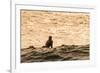 Surfing in Turtle Bay, North Shore, Oahu, Hawaii-Michael DeFreitas-Framed Photographic Print