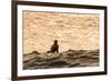 Surfing in Turtle Bay, North Shore, Oahu, Hawaii-Michael DeFreitas-Framed Photographic Print