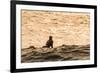 Surfing in Turtle Bay, North Shore, Oahu, Hawaii-Michael DeFreitas-Framed Photographic Print