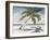 Surfing Paradise-Julie DeRice-Framed Art Print