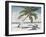 Surfing Paradise-Julie DeRice-Framed Art Print