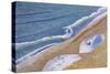 Surfing Portland Style, 2006-Liz Wright-Stretched Canvas