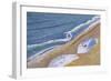 Surfing Portland Style, 2006-Liz Wright-Framed Giclee Print