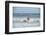 Surfing Santas, Cocoa Beach, Florida, USA-Lisa Engelbrecht-Framed Photographic Print