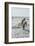 Surfing Santas, surfboards, Cocoa Beach, Florida, USA-Jim Engelbrecht-Framed Photographic Print