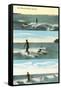 Surfing Scenes, Hawaii-null-Framed Stretched Canvas