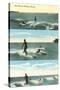 Surfing Scenes, Hawaii-null-Stretched Canvas