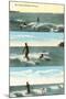 Surfing Scenes, Hawaii-null-Mounted Art Print