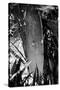 Surfing Shrine in Garden Black White Photo Poster Print-null-Stretched Canvas