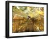 Surfing the Internet-Mehau Kulyk-Framed Photographic Print