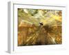 Surfing the Internet-Mehau Kulyk-Framed Photographic Print