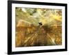 Surfing the Internet-Mehau Kulyk-Framed Photographic Print