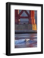 Surfing under the Golden Gate Bridge, San Francisco, California, USA-Chuck Haney-Framed Photographic Print