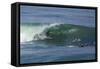 Surfing VII-Lee Peterson-Framed Stretched Canvas