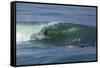 Surfing VII-Lee Peterson-Framed Stretched Canvas