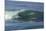 Surfing VII-Lee Peterson-Mounted Photographic Print